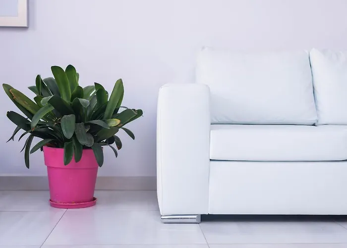 Boutique Giannis * يميناريا