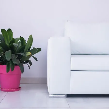 Boutique Giannis * リメナリア